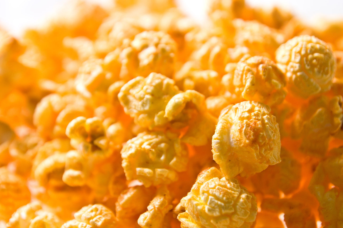 Signature "Cheese Lover's" Tin